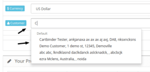 customer search with name and address for proper search
