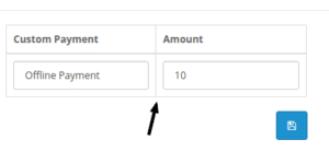 custom payment